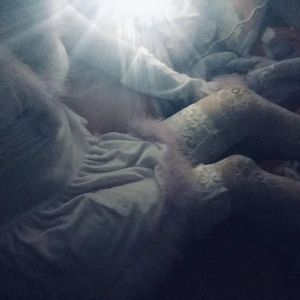 被老师强行打针在线观看
